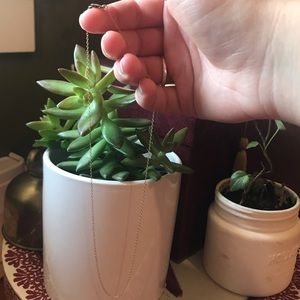 Delicate Gold-Fill Chain